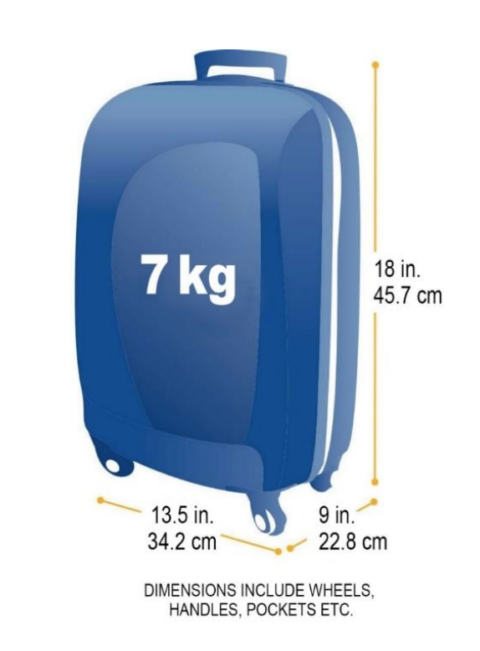 flybe cabin bag weight